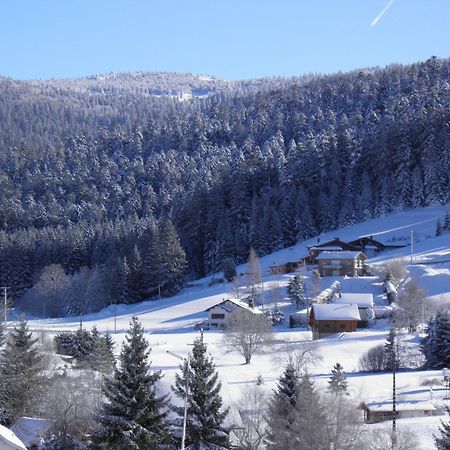 Chalet Renove Proche Du Valtin - Ideal Pour Famille, Randonnees Et Ski, Wifi, Luges Fournies - Fr-1-589-150 Ban-sur-Meurthe-Clefcy ภายนอก รูปภาพ