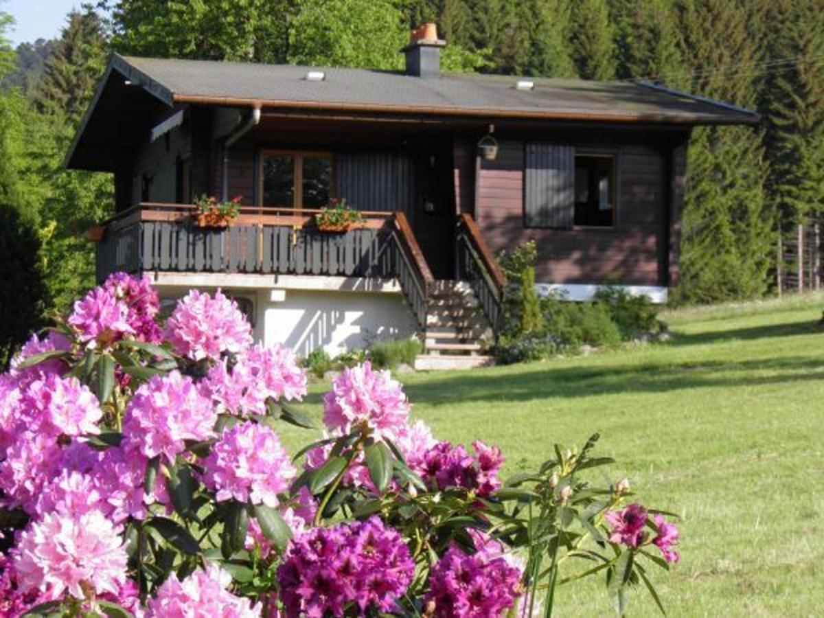 Chalet Renove Proche Du Valtin - Ideal Pour Famille, Randonnees Et Ski, Wifi, Luges Fournies - Fr-1-589-150 Ban-sur-Meurthe-Clefcy ภายนอก รูปภาพ